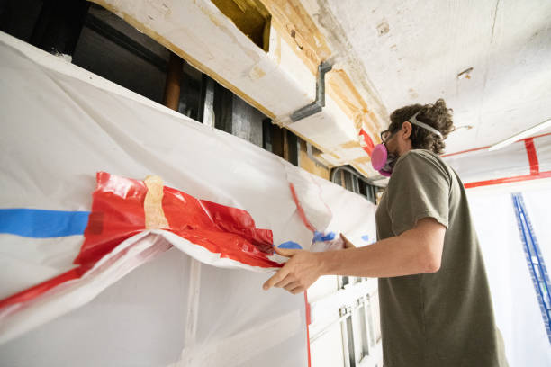 Best Industrial Mold Remediation  in Olive Hill, KY