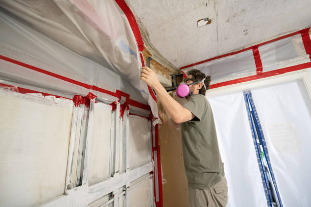 Best Dehumidification Services  in Olive Hill, KY