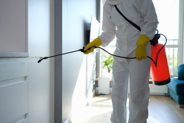 Mold Documentation for Insurance Claims in Olive Hill, KY