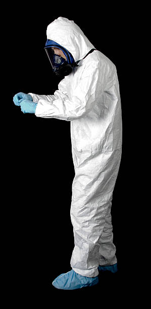 Professional Mold Removal in Olive Hill, KY